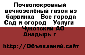 Почвопокровный, вечнозелёный газон из барвинка - Все города Сад и огород » Услуги   . Чукотский АО,Анадырь г.